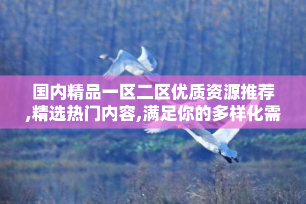 国内精品一区二区优质资源推荐,精选热门内容,满足你的多样化需求