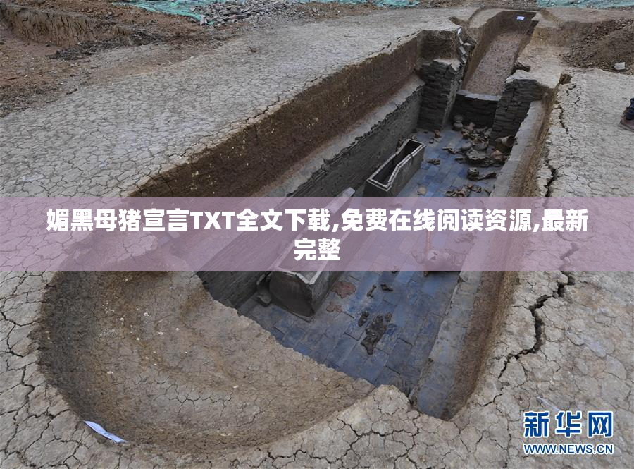 媚黑母猪宣言TXT全文下载,免费在线阅读资源,最新完整