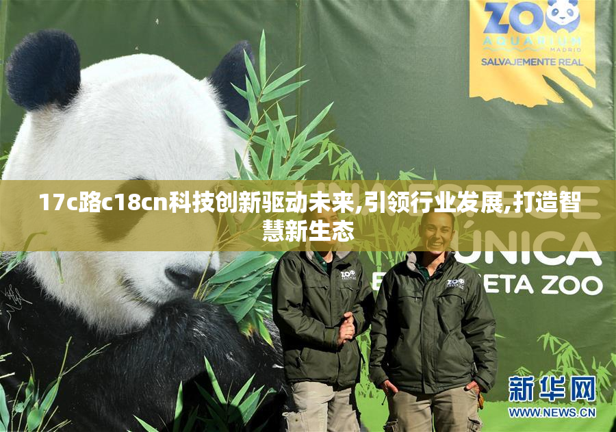 17c路c18cn科技创新驱动未来,引领行业发展,打造智慧新生态