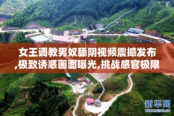 女王调教男奴舔阴视频震撼发布,极致诱惑画面曝光,挑战感官极限