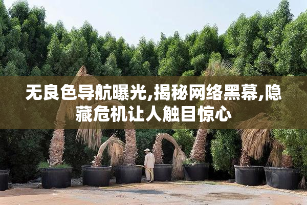 无良色导航曝光,揭秘网络黑幕,隐藏危机让人触目惊心