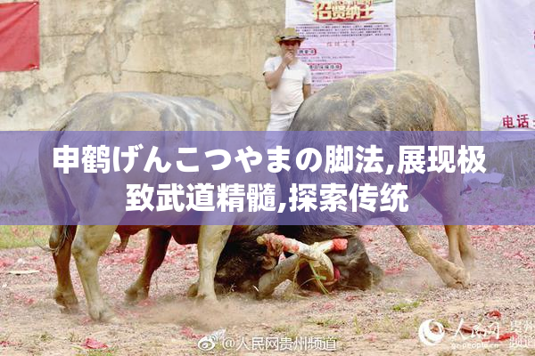 申鹤げんこつやまの脚法,展现极致武道精髓,探索传统