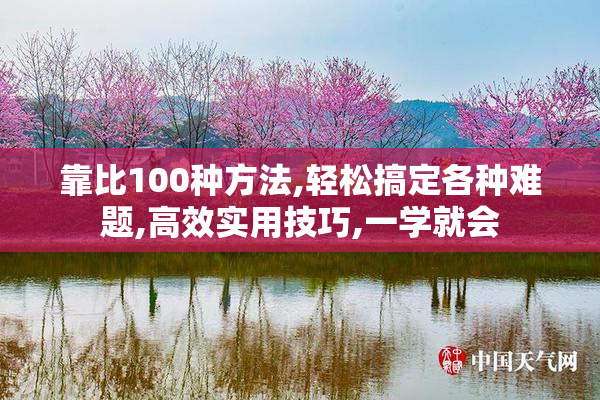 靠比100种方法,轻松搞定各种难题,高效实用技巧,一学就会
