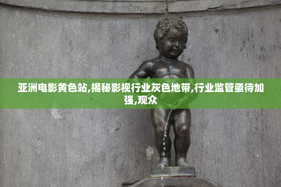亚洲电影黄色站,揭秘影视行业灰色地带,行业监管亟待加强,观众