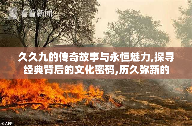 久久九的传奇故事与永恒魅力,探寻经典背后的文化密码,历久弥新的
