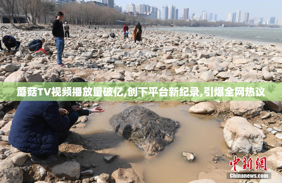 蘑菇TV视频播放量破亿,创下平台新纪录,引爆全网热议