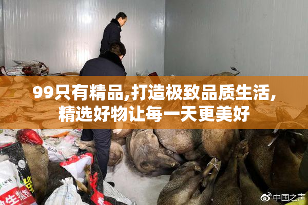 99只有精品,打造极致品质生活,精选好物让每一天更美好