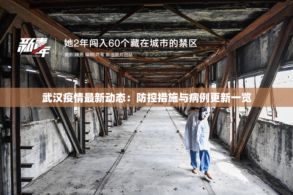 武汉疫情最新动态：防控措施与病例更新一览