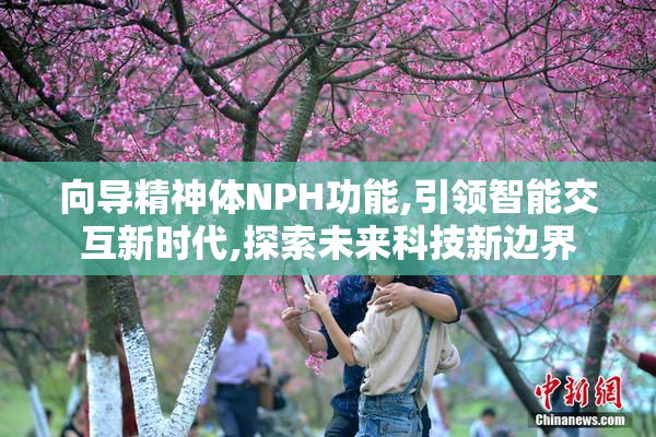 向导精神体NPH功能,引领智能交互新时代,探索未来科技新边界