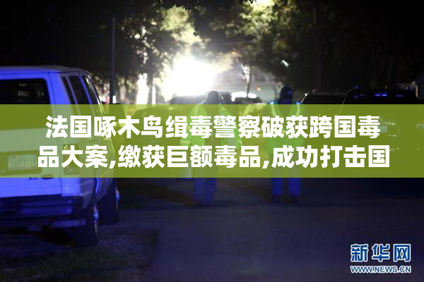 法国啄木鸟缉毒警察破获跨国毒品大案,缴获巨额毒品,成功打击国际