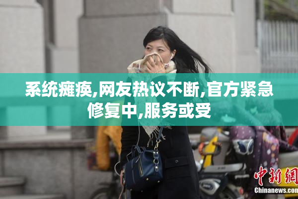 系统瘫痪,网友热议不断,官方紧急修复中,服务或受