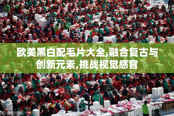 欧美黑白配毛片大全,融合复古与创新元素,挑战视觉感官