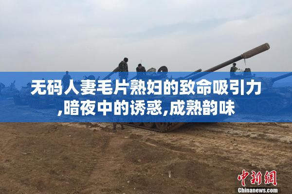 无码人妻毛片熟妇的致命吸引力,暗夜中的诱惑,成熟韵味
