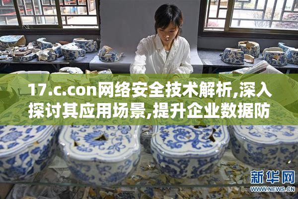 17.c.con网络安全技术解析,深入探讨其应用场景,提升企业数据防护
