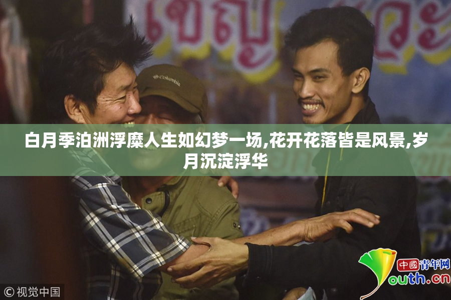 白月季泊洲浮糜人生如幻梦一场,花开花落皆是风景,岁月沉淀浮华