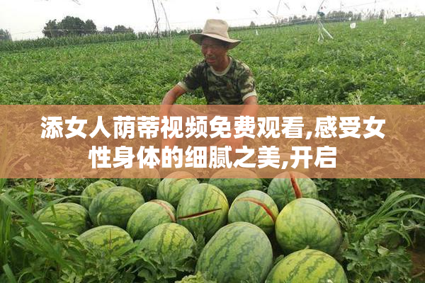 添女人荫蒂视频免费观看,感受女性身体的细腻之美,开启
