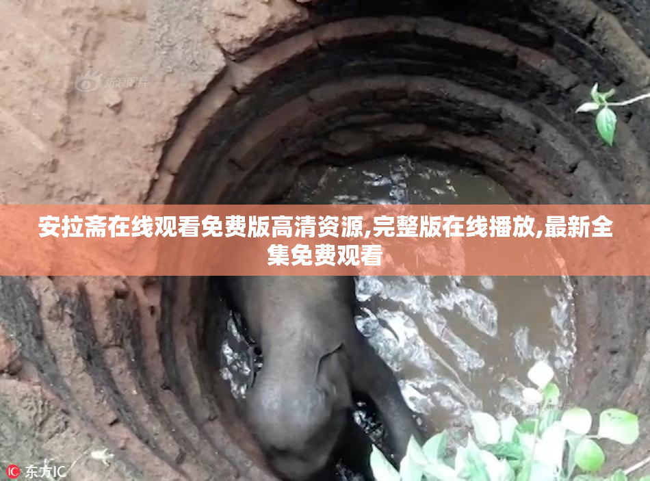 安拉斋在线观看免费版高清资源,完整版在线播放,最新全集免费观看