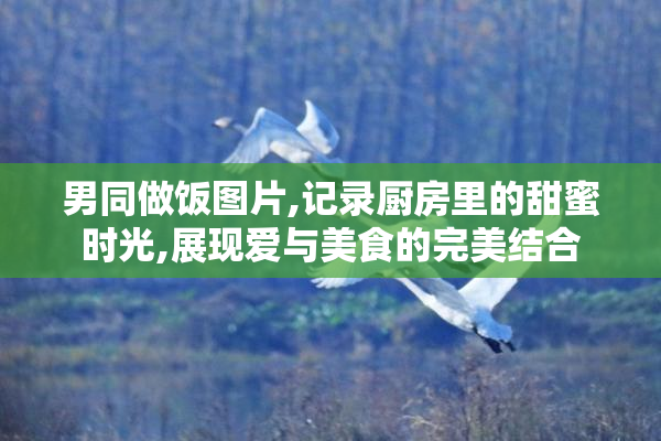 男同做饭图片,记录厨房里的甜蜜时光,展现爱与美食的完美结合
