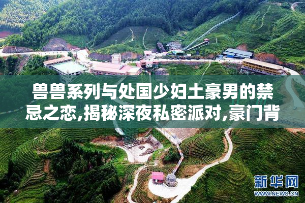 兽兽系列与处国少妇土豪男的禁忌之恋,揭秘深夜私密派对,豪门背后