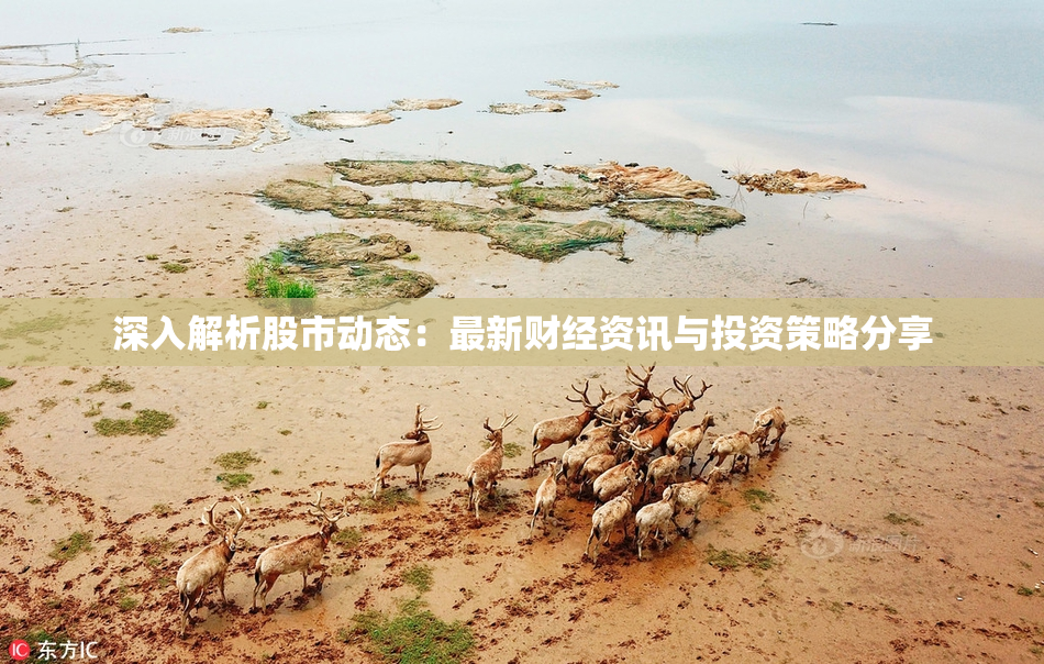 深入解析股市动态：最新财经资讯与投资策略分享