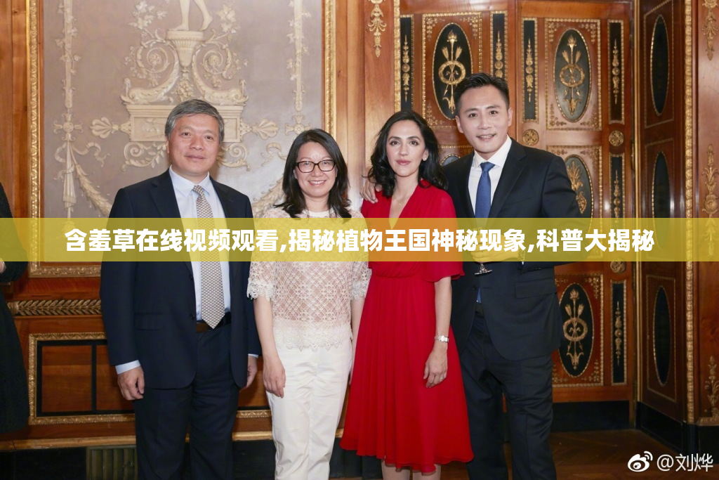 含羞草在线视频观看,揭秘植物王国神秘现象,科普大揭秘