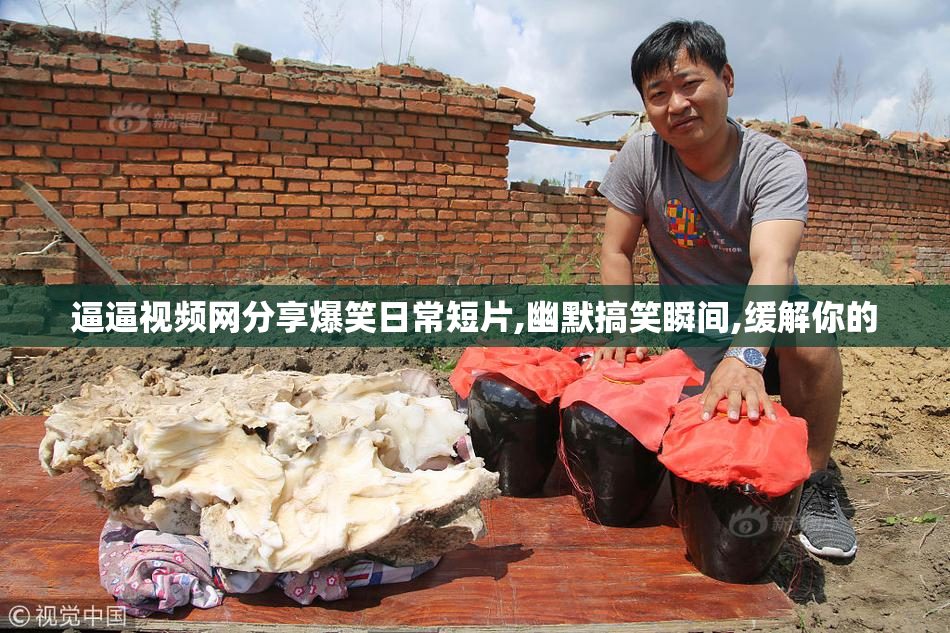 逼逼视频网分享爆笑日常短片,幽默搞笑瞬间,缓解你的
