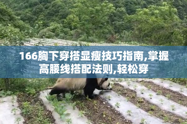 166胸下穿搭显瘦技巧指南,掌握高腰线搭配法则,轻松穿