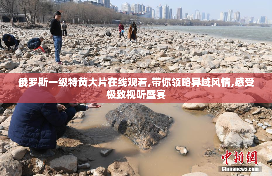 俄罗斯一级特黄大片在线观看,带你领略异域风情,感受极致视听盛宴