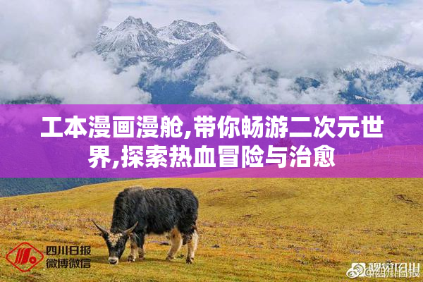 工本漫画漫舱,带你畅游二次元世界,探索热血冒险与治愈