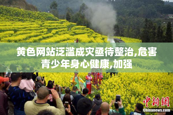 黄色网站泛滥成灾亟待整治,危害青少年身心健康,加强