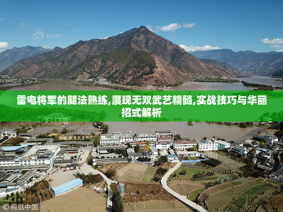 雷电将军的腿法熟练,展现无双武艺精髓,实战技巧与华丽招式解析