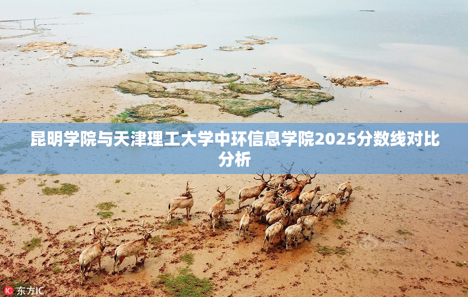 昆明学院与天津理工大学中环信息学院2025分数线对比分析