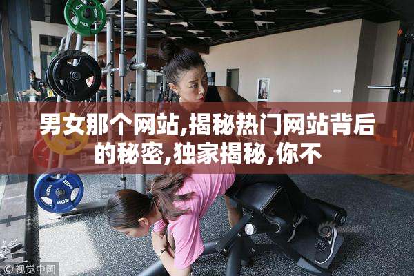 男女那个网站,揭秘热门网站背后的秘密,独家揭秘,你不
