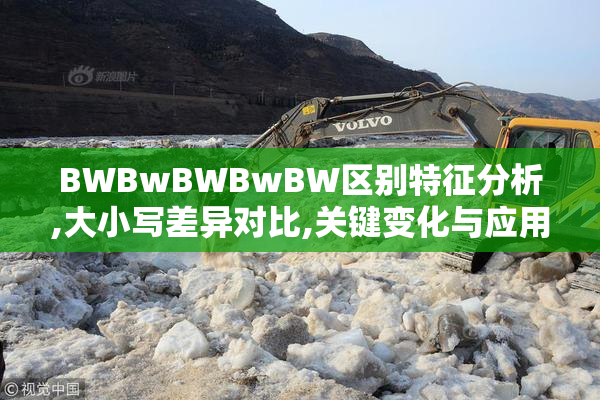 BWBwBWBwBW区别特征分析,大小写差异对比,关键变化与应用场景解析
