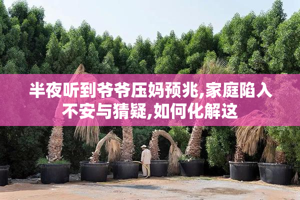 半夜听到爷爷压妈预兆,家庭陷入不安与猜疑,如何化解这