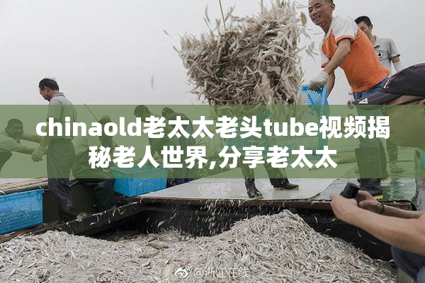 chinaold老太太老头tube视频揭秘老人世界,分享老太太