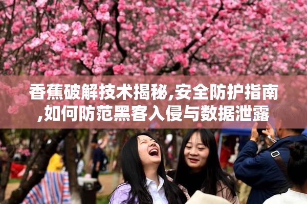 香蕉破解技术揭秘,安全防护指南,如何防范黑客入侵与数据泄露