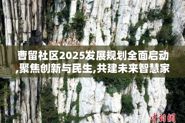 曹留社区2025发展规划全面启动,聚焦创新与民生,共建未来智慧家园