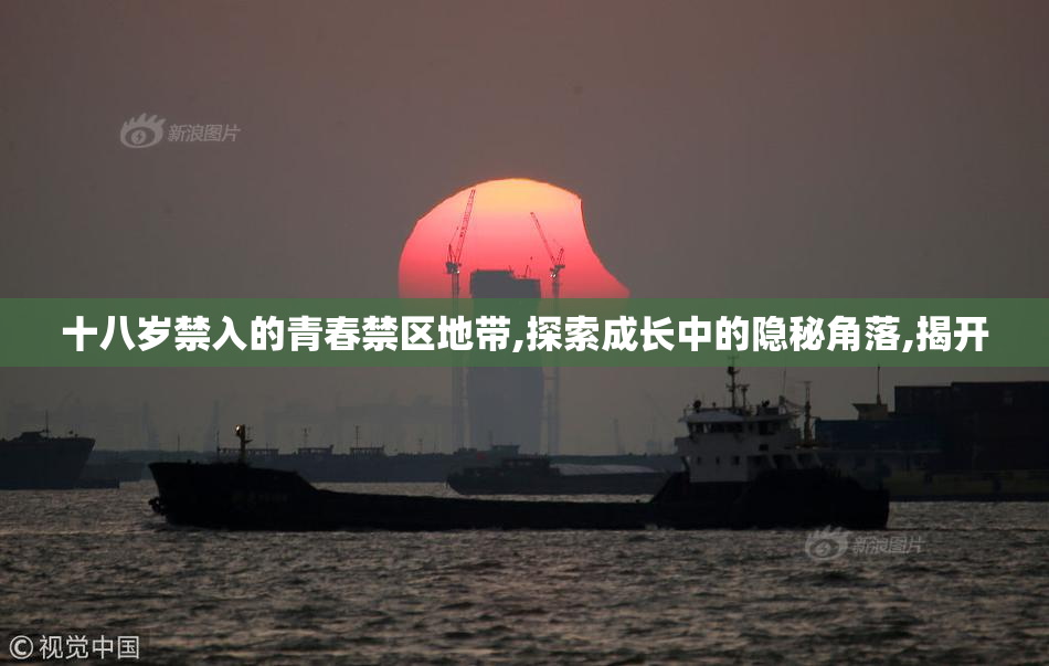 十八岁禁入的青春禁区地带,探索成长中的隐秘角落,揭开