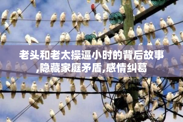 老头和老太操逼小时的背后故事,隐藏家庭矛盾,感情纠葛