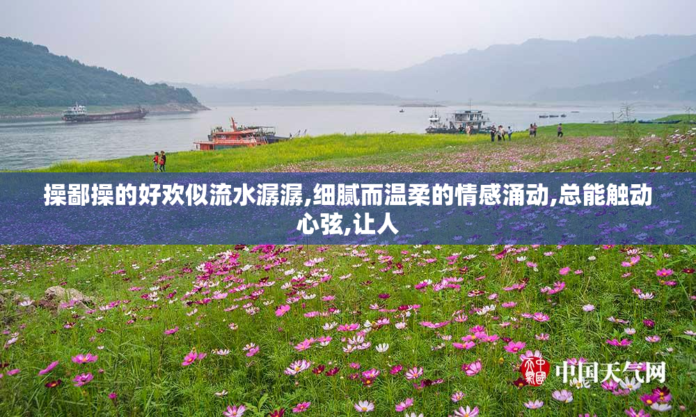 操鄙操的好欢似流水潺潺,细腻而温柔的情感涌动,总能触动心弦,让人