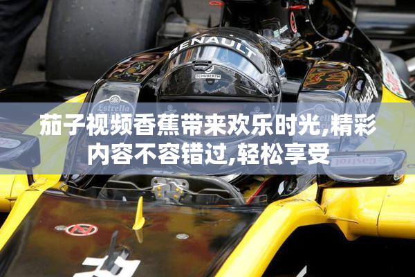 茄子视频香蕉带来欢乐时光,精彩内容不容错过,轻松享受