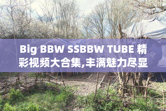 Big BBW SSBBW TUBE 精彩视频大合集,丰满魅力尽显
