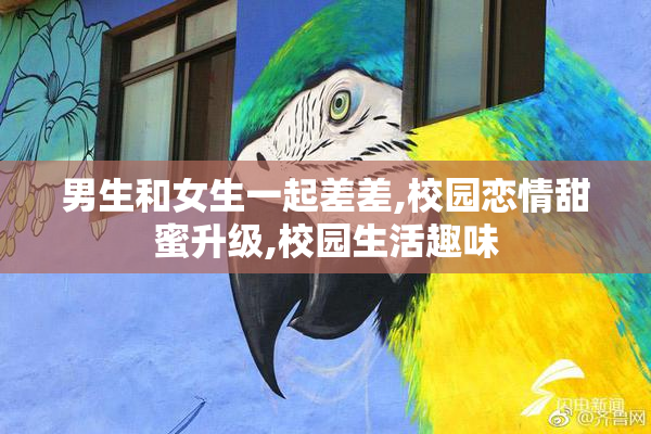 男生和女生一起差差,校园恋情甜蜜升级,校园生活趣味