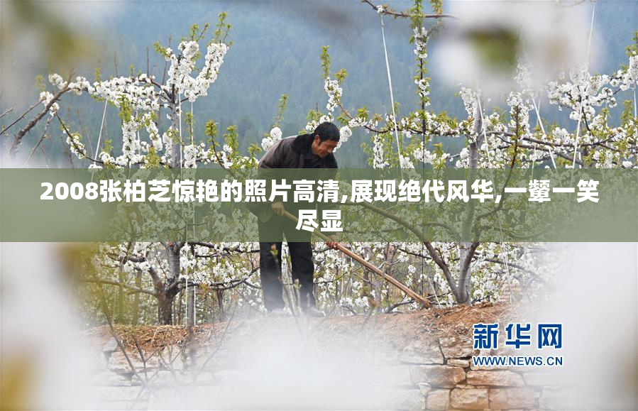 2008张柏芝惊艳的照片高清,展现绝代风华,一颦一笑尽显