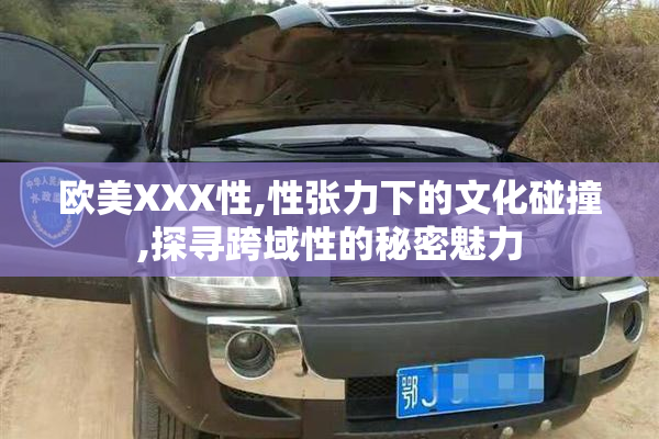 欧美XXX性,性张力下的文化碰撞,探寻跨域性的秘密魅力