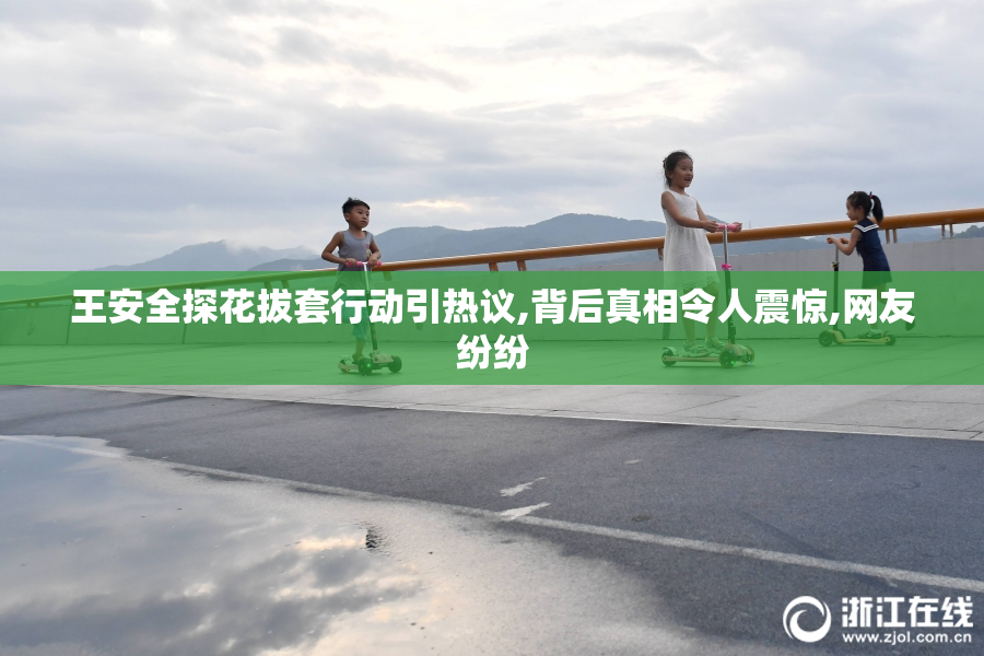 王安全探花拔套行动引热议,背后真相令人震惊,网友纷纷