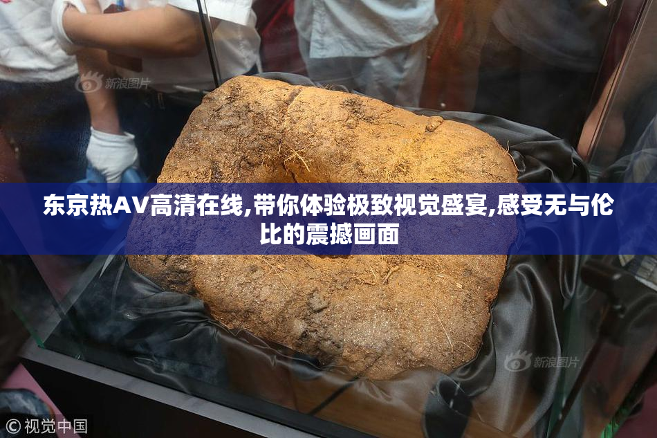 东京热AV高清在线,带你体验极致视觉盛宴,感受无与伦比的震撼画面