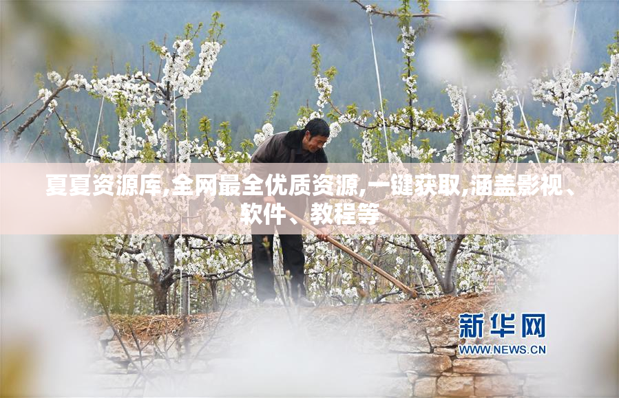 夏夏资源库,全网最全优质资源,一键获取,涵盖影视、软件、教程等