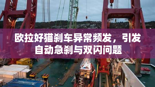 欧拉好猫刹车异常频发，引发自动急刹与双闪问题